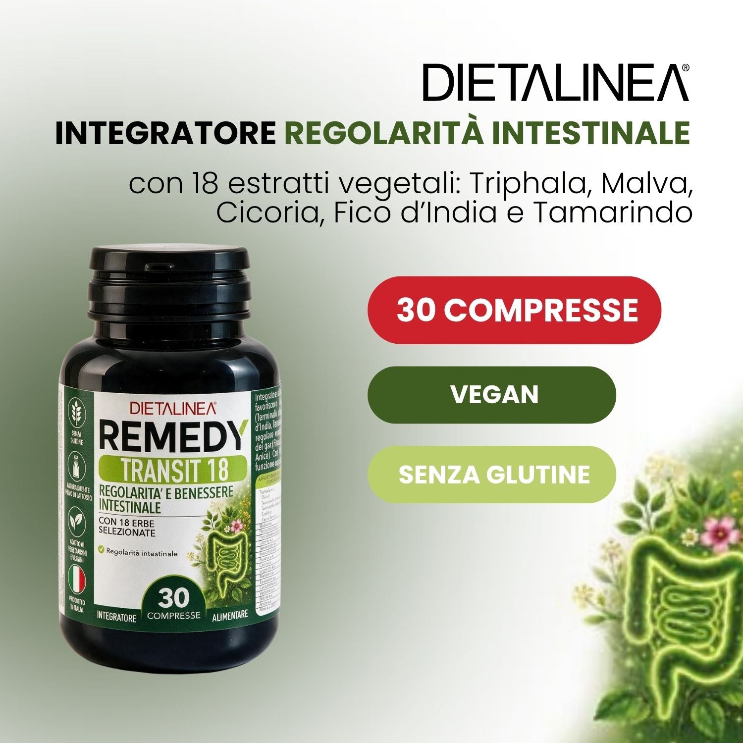 Dietalinea Remedy Transit 18