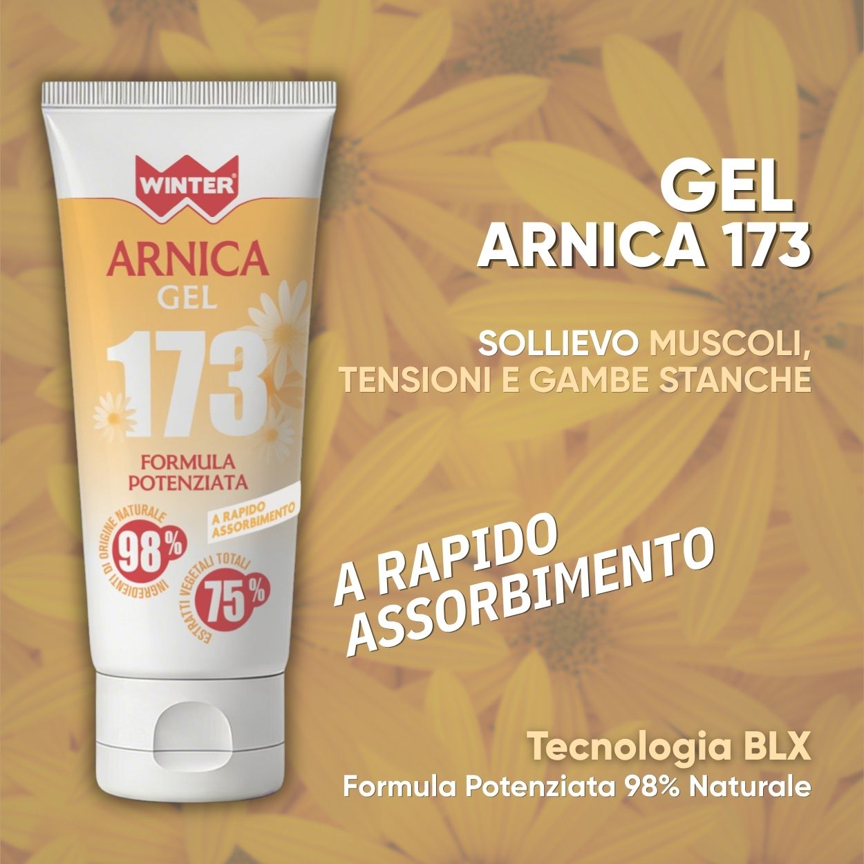 Arnica Gel 173 Sollievo Muscoli 100ml