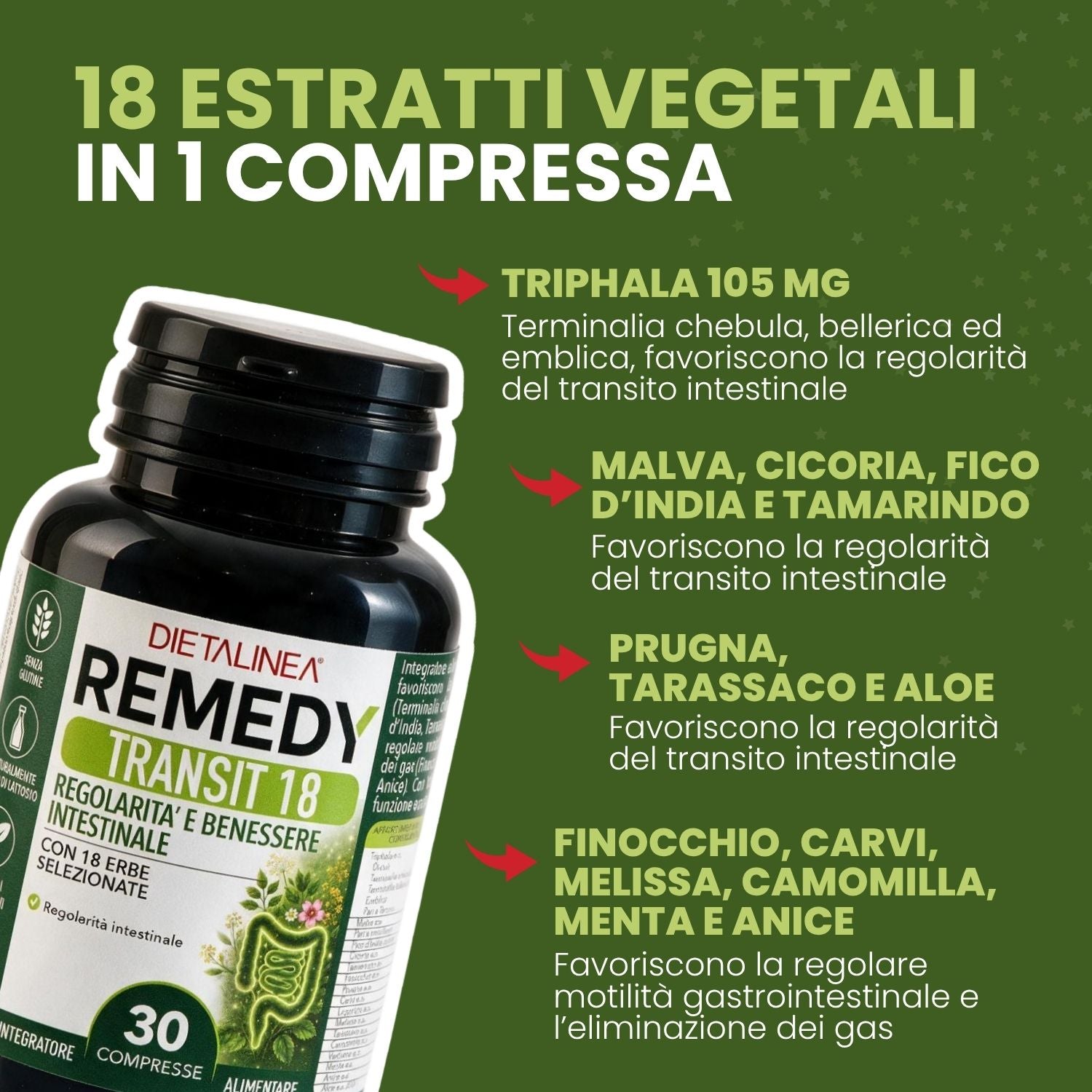 Dietalinea Remedy Transit 18