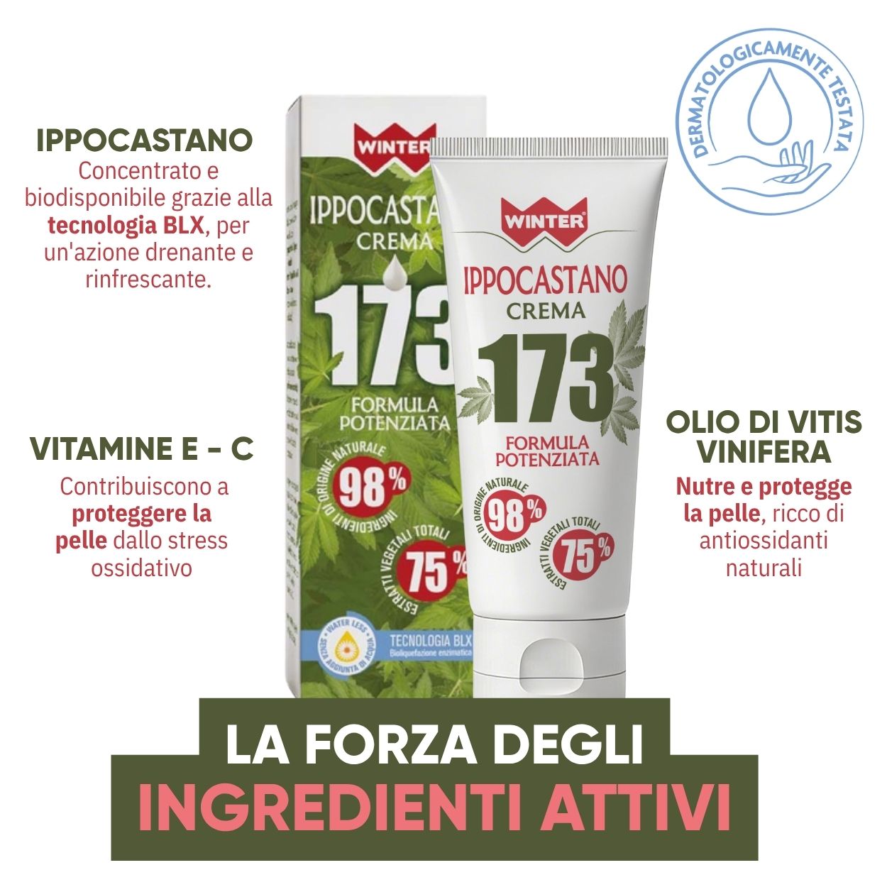 Ippocastano Crema 173 Drenante 100ml