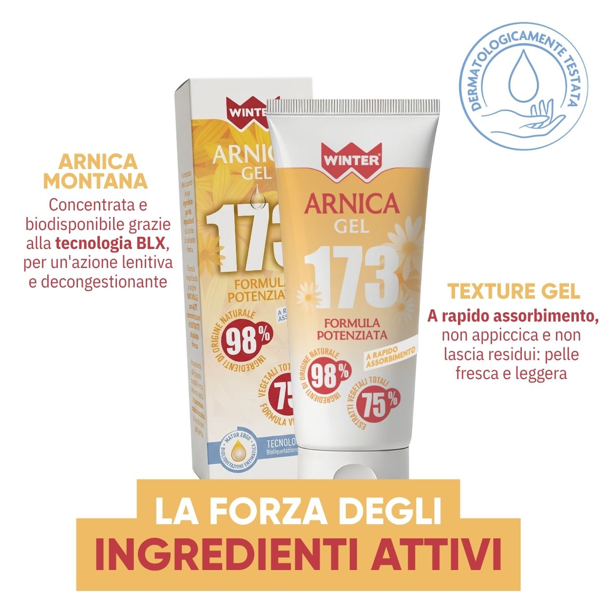 Arnica Gel 173 Sollievo Muscoli 100ml