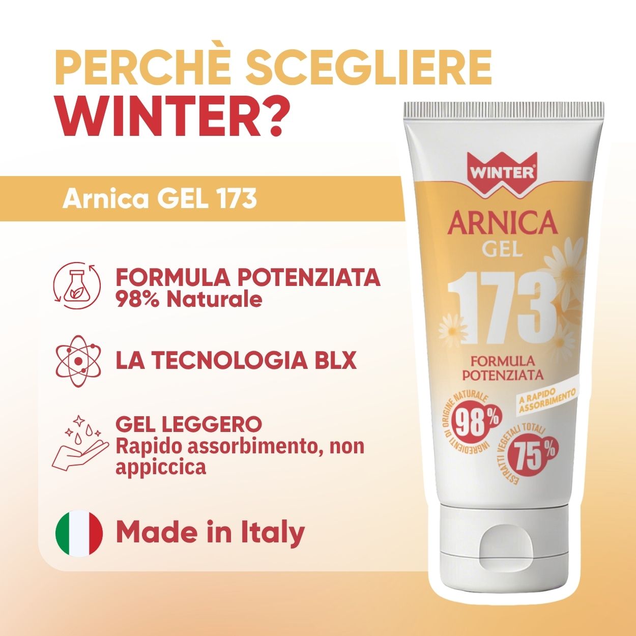 Arnica Gel 173 Sollievo Muscoli 100ml