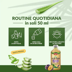Winter - Aloe Vera da Bere Transit con Psillio e Prugna – Succo Naturale Senza Aloina