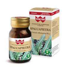 Spaccapietra